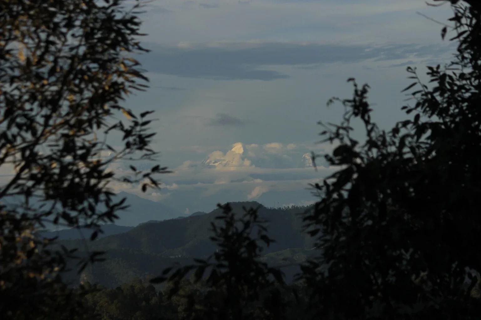 The view from the Himalayan Emerging Writers Residency in Uttarakhand